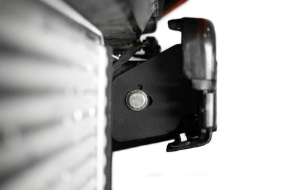 Photo - Close Up